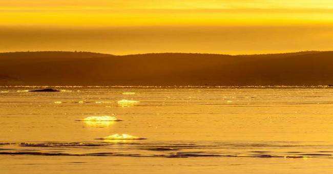 lake gold
