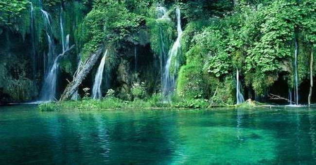 paradise